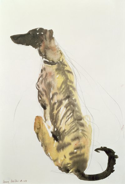 Lurcher Sitting, 1988 by Lucy Willis